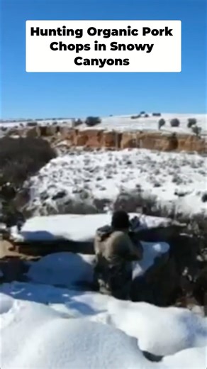 PISTOL PIG HUNT in Arizona Snow ❄️ #shorts #hunting