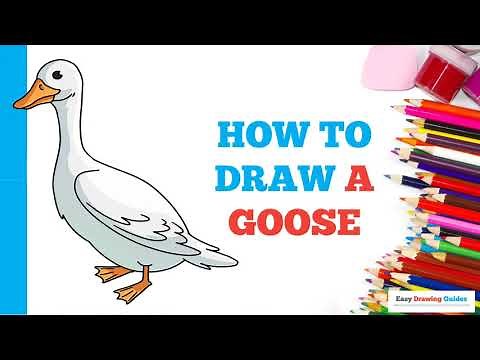 How to Draw a Goose in a Few Easy Steps: Drawing Tutorial for Beginner Artists