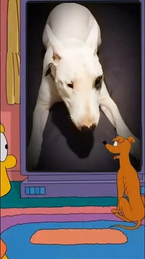 The Simpsons Watching TV with Dogs 🐶📺 | Dogs on Screen & in Real Life!