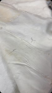 Beautiful this white rabbit fur plates Top Quality Rabbit fur plates made of highest quality rabbit fur. Thick and heavy fur. Rabbit fur is commonly used to make garments, accessories, and decorative items. Fur plates can be sewn into clothing, coats, or used for fur trimming. Approximate size: 46” x 22” Regular weight $89.95 Heavy weight (finest quality) $99.95 #rabbits #für #leather #sewing #craftsupplies #indigenousfashion #nativeamericanculture #billworbfurs | Bill Worb Furs Inc