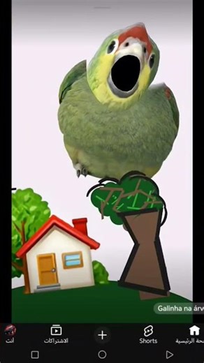 ١٢ مارس، ٢٠٢٦