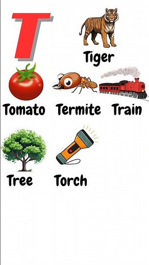 Words with Alphabet T | Learn Words Starting with T | Baby Learning Channel