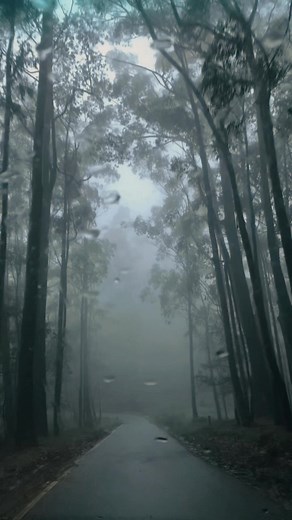 "Capturing love in the midst of nature's cascade – a mesmerizing waterfall became the backdrop to this couple's adventure-filled love story. 👩‍❤️‍👨✨ #jethrophotography #LoveInFullFlow #WaterfallRomance #AdventureCaptured" | Jethro Photography