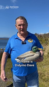 CALLING DUCK HUNTERS | CHECK, CLEAN, DRY for a weed-free maimai 🦆 Duck hunting season is just around the corner, and our friend Didymo Dave wants you have the best hunting experience out there! Your decoys won’t stand out to ducks if the water around your maimai is clogged with invasive weeds like hornwort and alligator weed. 🌿 These weeds are sneaky and can easily spread from one waterway to another by hitching a ride on your gear. 🥾 🩳 Stop these pests in their tracks and keep the water aro