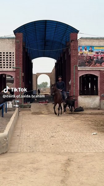 #dairaofsaidabarahm #chirfanaligujjar449 #worldchampion #uswa1 #uswachamp #uswalaadi #rustam #uswasohni #buraaق #uswa #fypage @AliHaiderGujjar🇪🇸🇫🇷 @ch Asif Ali Hanjra @Noumanimtiaz401