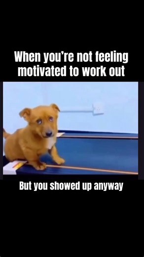 No motivation but you STILL show up 😂