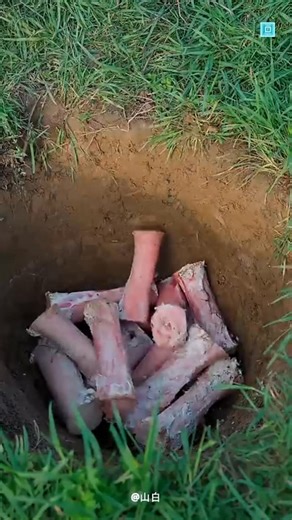 Science Facts on Instagram: "Bone Art #art #bone #knowledge #education #new #foryou"