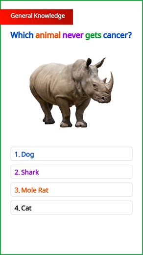 GK Questions || GK In English || GK Quiz || Important GK Questions