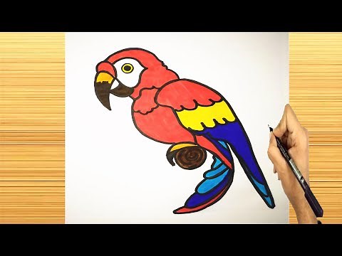 كيف ترسم ببغاء || تعليم الرسم || رسم سهل || طريقة رسم ببغاء