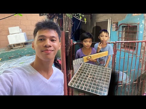 SECRET SHOP NG GAGAMBA SA Q.C