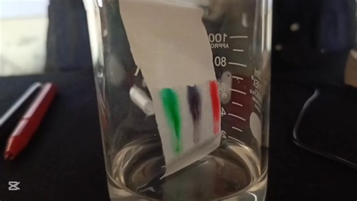 Subject Biology Subject Teacher Miss Sidra Toip:- chromatography Chromatography practical was performed by 11th class student Ruqia. She used paper chromatography to separate different components of ink. The experiment showed how mixtures can be separated based on solubility. Ruqia completed the practical carefully and observed clear results. #learningthroughplay #biology #misssidra #Sindh #sindheducationfoundation Sindh Education Foundation, Government of Sindh Hope & Transformation against Pov