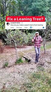 12K views · 131 reactions |  Ever had a tree start leaning in your...