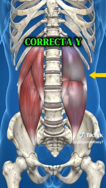 Best Practices for Back Health and Posture