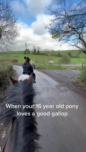Leisurely Pony Ride in Scenic Countryside