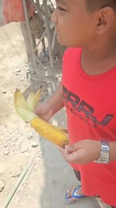 991K views · 10K reactions | Corn maise sa Pakistan #biryaninipakistani | biryani ni pakistani | Facebook