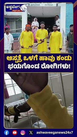 Snake Found Inside Hospital Causes Panic | ಆಸ್ಪತ್ರೆ ಒಳಗೆ ಹಾವು ಕಂಡು ಭಯಗೊಂಡ ರೋಗಿಗಳು..!