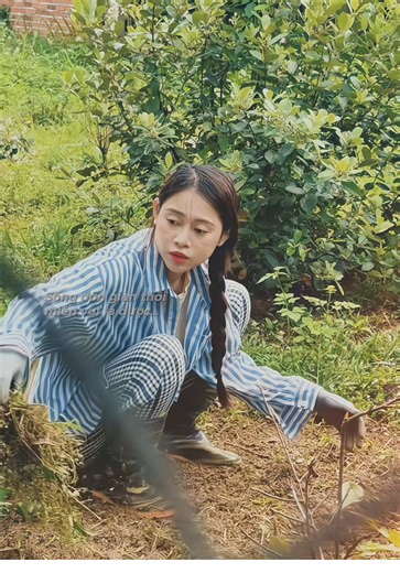 Khi bản thân biết đủ, cuộc sống tự ắt