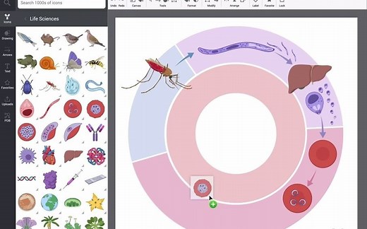 BioRender - 新的科研作图工具！