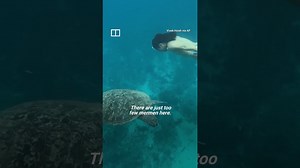 IN A MINUTE: Meet the real-life mermen of Taiwan #shorts - The Global Herald