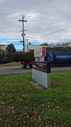 64K views · 1.8K reactions | 75feet tall and 75yrs old. Thank you Krystle. She came in the front door and said I'm waiting on your porch for the Rockefeller tree to go by. So we all went out and waited with her. How cool. Once in a lifetime! Cause I sure the fuk ain't going to crazy town nyc to see it in person. Forever Grateful ❤️‍♂️ | Patsy Grieco | Facebook