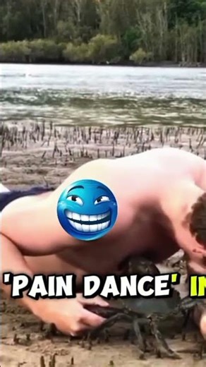 MUD CRAB VS HUMAN CHEST! 🦀😱 #nature #fail #crazy #mudcrab #stunt #wildlife #australia #ouch