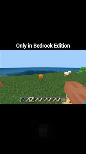 Minecraft: Action & Stuff Nametags