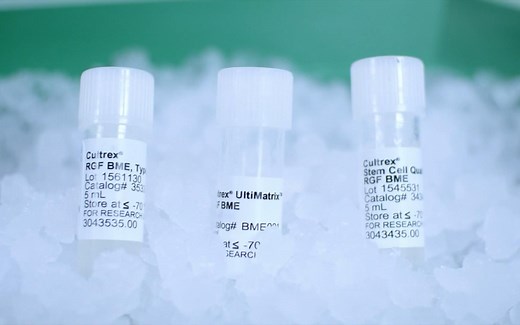 Bio-Techne Cultrex BME基质胶操作指南