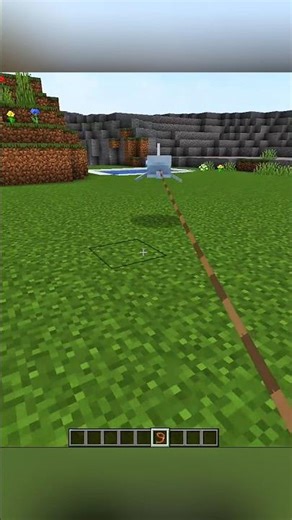 The Dolphin 🐬 #Minecraft #Shorts