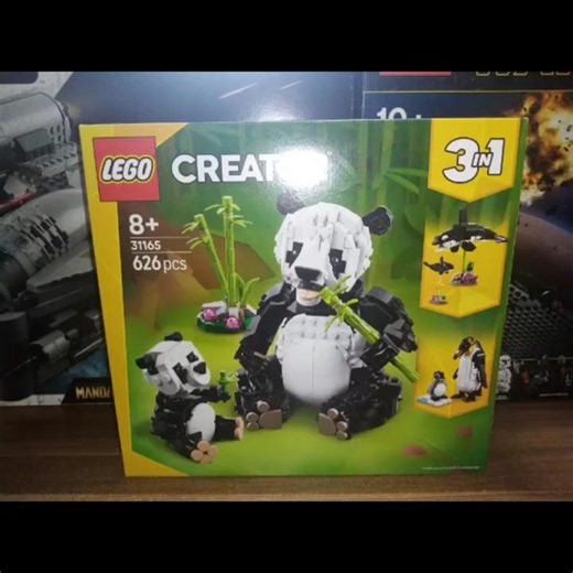 Aufbau von Lego 31165