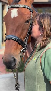 4.8K views · 51 reactions | When two incredible causes come together 欄 @stleonardshospice x @nbhorsescharity Yesterday our partner @nbhorsescharity paid a surprise visit to the patients at @stleonardshospice bringing joy, comfort, and a few happy tears. The work both of these amazing organisations is truly inspiring, and seeing the joy they created together was something special. The visit was a beautiful reminder of the power of compassion and connection. ✨ | York Races | Facebook