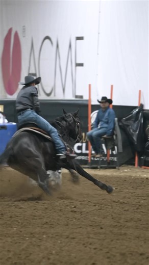 1.2K views · 212 reactions | Py sonic Pyc paint your wagon & one time in cowtown Juvenile 2025 Owner:lone star ranch Le Selle Italiane TRM-ITALIA Purina Cavalli | Federico Tanzi | Facebook