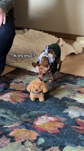 Zoomie vs. Animatronics Dog Toy: Choose Your Fighter!