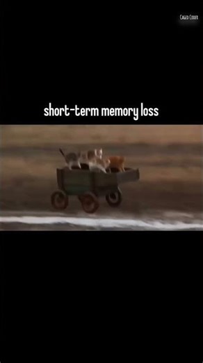 Web DESIGN Expert Shares Top CSS Button Container Techniques