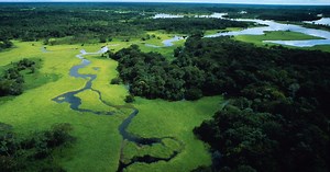 The Natural Capital Alliance