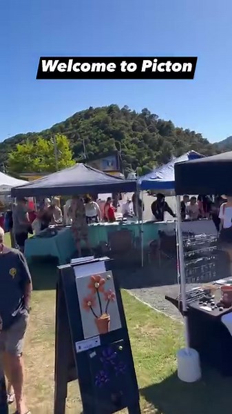 Welcome to Picton,New Zealand🇳🇿 #reels #travel #explore #picton #newzealand | Touring Places