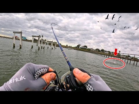 Best Lure of 2025? Unreleased Lure CRUSHES Fish!