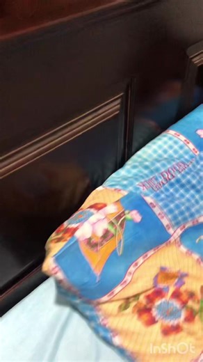 Caring for Cockatiel Birds: Tips and Tricks