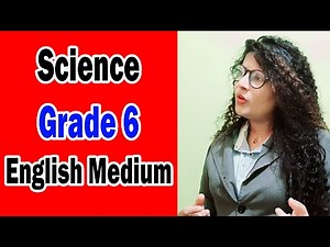 Grade 6 Science English Medium: Let's Enter The world of Science | Grade 6 Science lesson in English