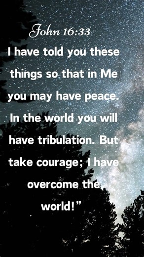 John 16:33 ...in Me you may have peace... take courage; I have overcome the world #god #jesus #short