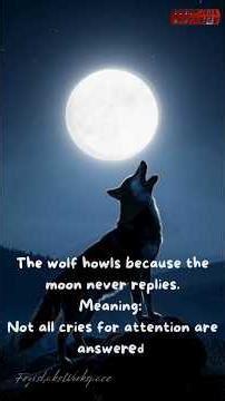 Funny Wise Sayings from Baba Shaks Vol 99 "Life Lessons, Quotes & Truths." #dailywisdom #funnyquotes