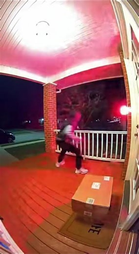 Porch Thief Instant Karma - Alarm + Strobe Lights #prank #instantkarma