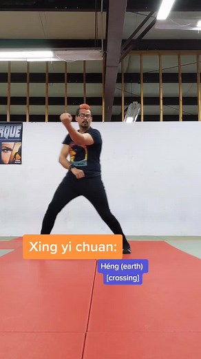 Understanding Xing Yi Quan Techniques: The Essence of Martial Arts