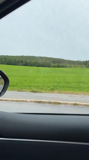 #sweden | Survivor MOM vlogs