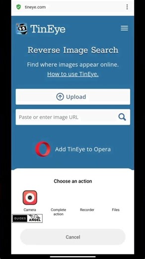 How to use TinEye