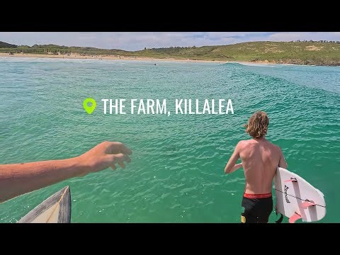 SURFING THE FARM November 2024