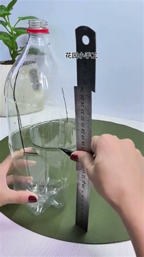 Creative Balcony Gardening: Flower Pots as Bottles