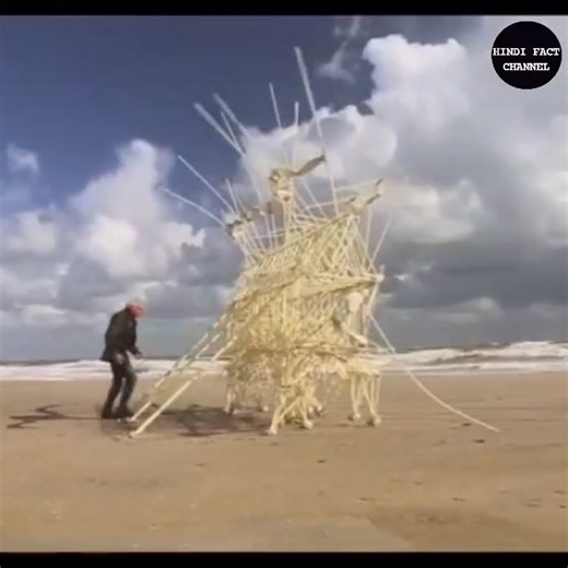 4.5K views · 114 reactions | Do you know whether Bigg Boss show is real or scripted? 22 Most Amazing Facts | Hindi Facts Channel | Facebook