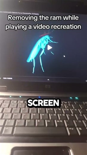 Removing Ram From A Computer