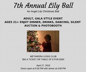 Tickets are on sale now for the 7th Annual Justice for Lily Ball. This years theme is Christmas!! Lily loved all things Christmas so for her 11th birthday we will remember her by sharing the magic of the Christmas season with all that attend! Tickets are $50/p or $350 for a table of 8. Location is at the Metamora Lion's Club in Metamora Michigan. This is for 21 year's of age and is a Gala style event. To purchase your tickets please click on the link below: https://docs.google.com/forms/d/e/1FAI