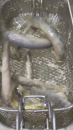 元気なドジョウを揚げるユニークな調理法